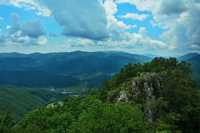 image_1740144293931446613.jpg