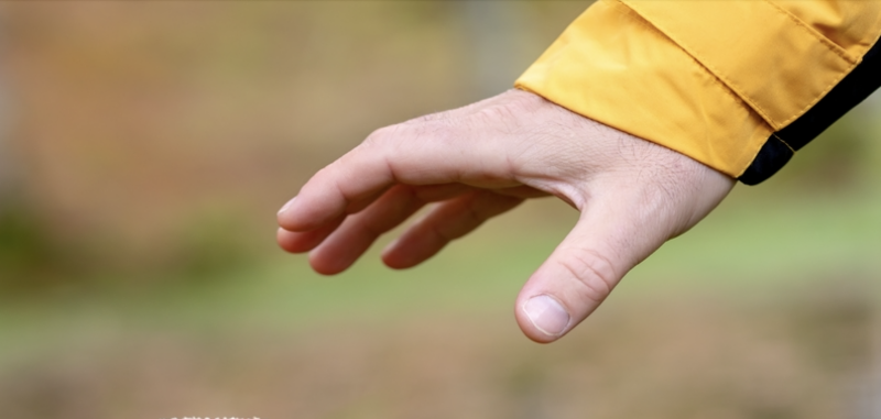 image_17401442981418240178.png