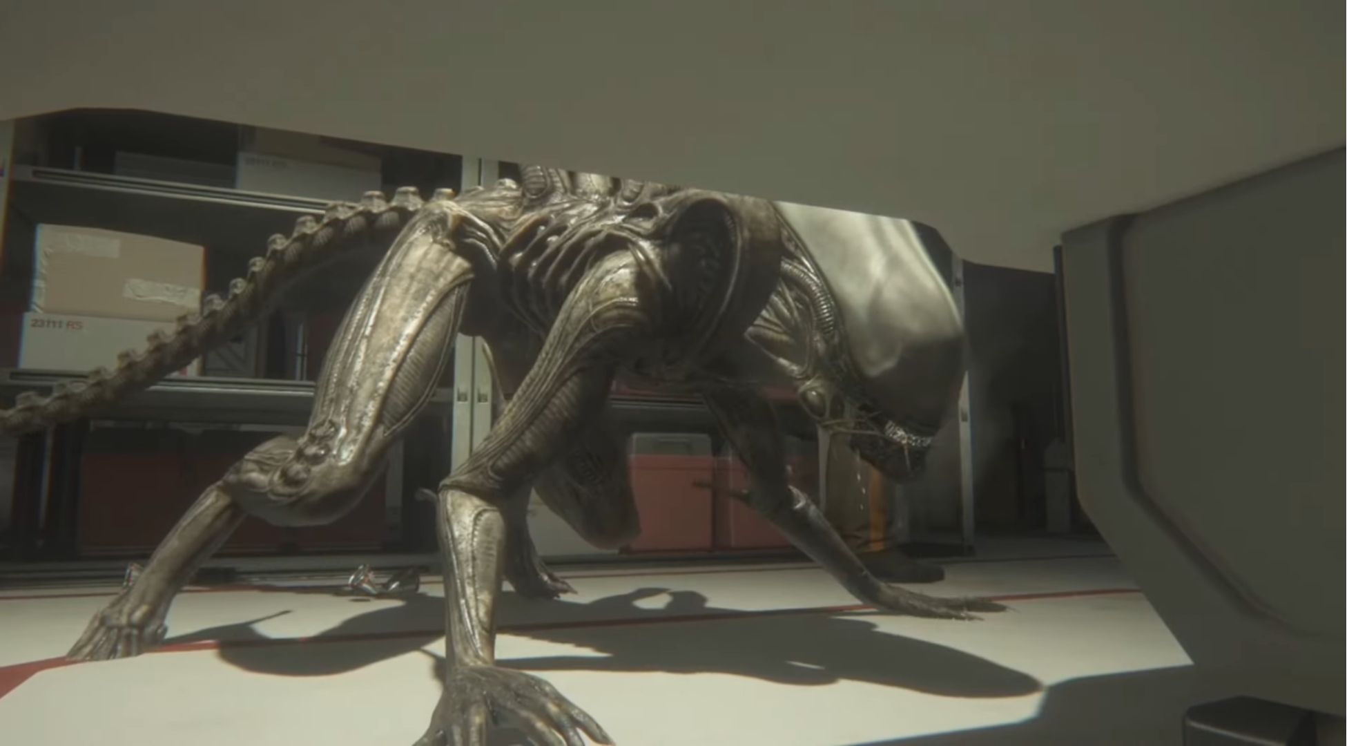 Xenomorph.jpg