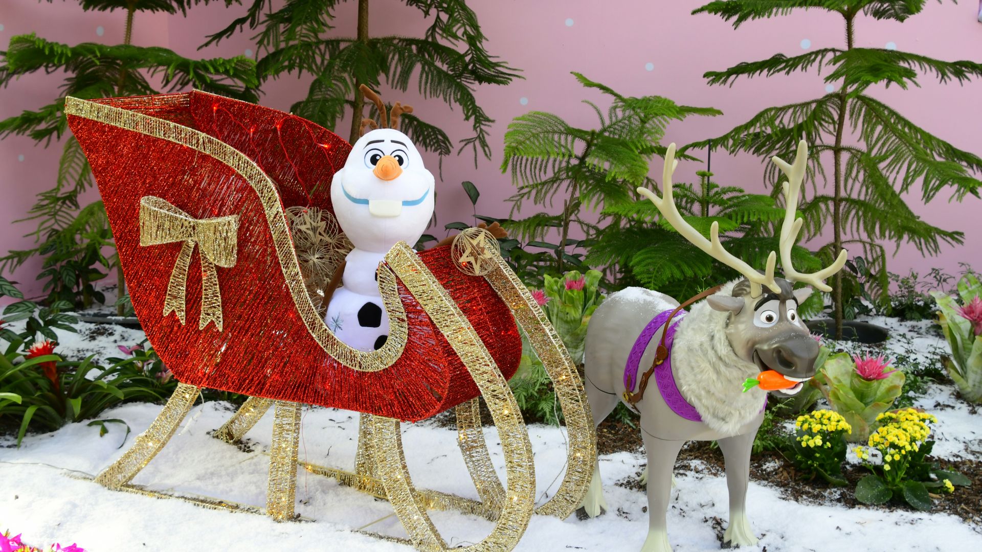 white dog figurine on red and brown textile