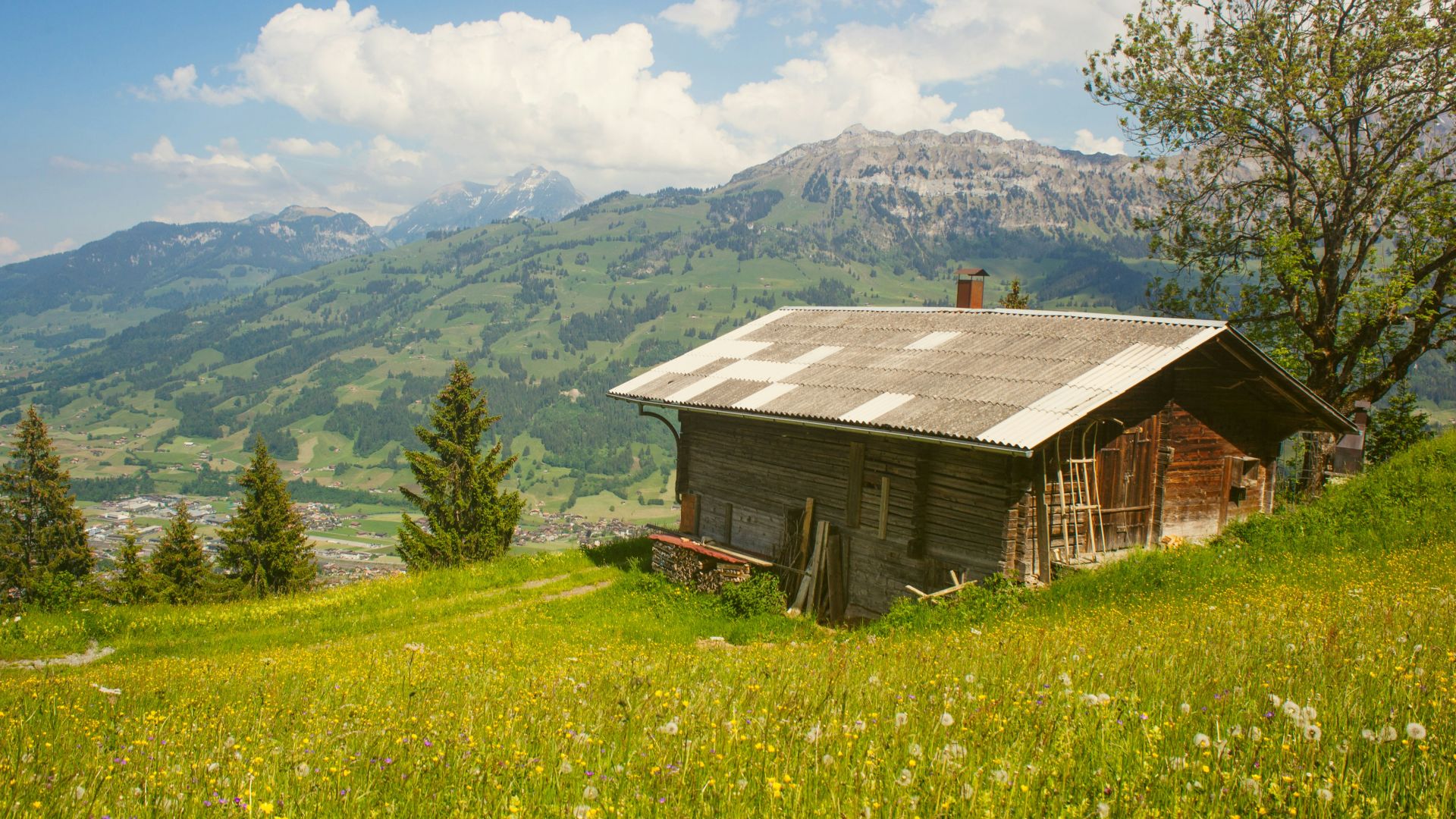 brown cabin surrounded by grass and trees