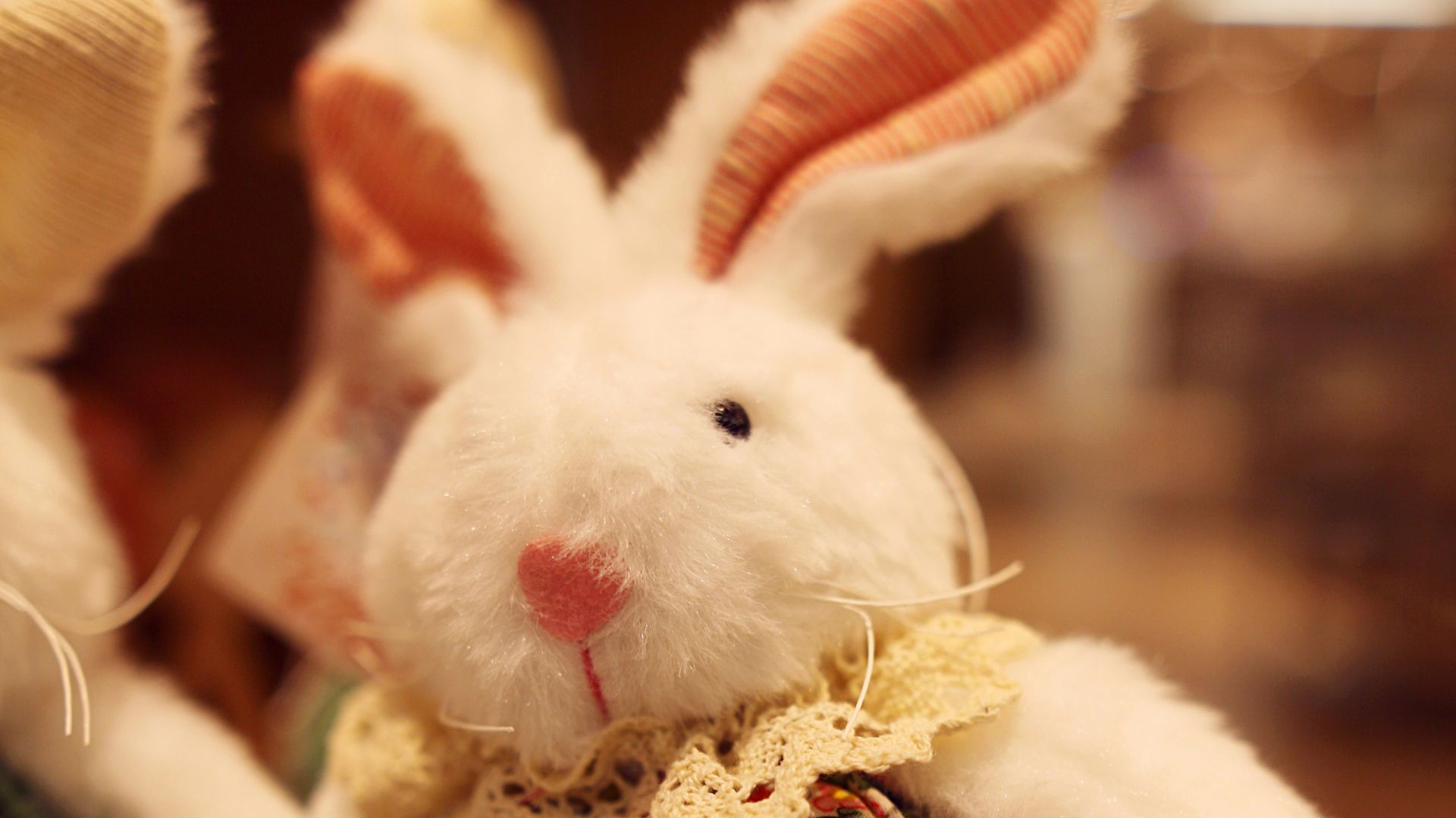 a couple of stuffed animals sitting on top of a table