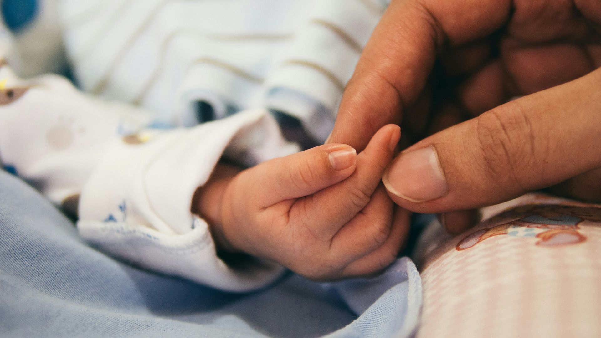 person holding baby's index finger