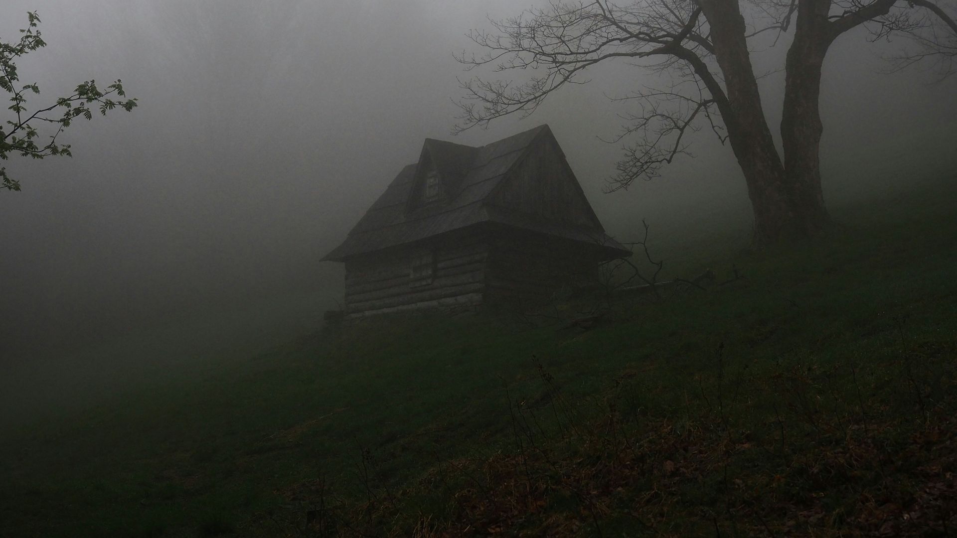 gray wooden house covered by fog