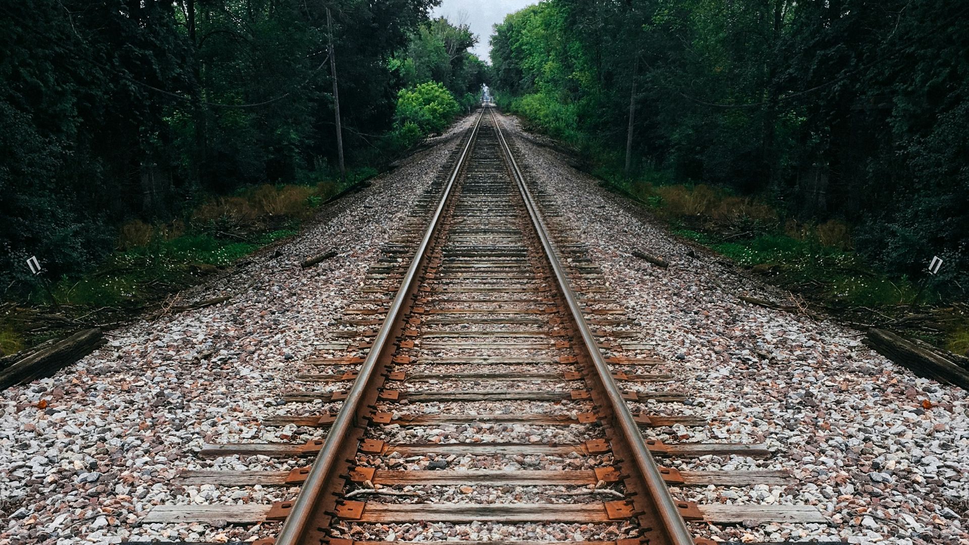 railroad surrounded by trees at daytime