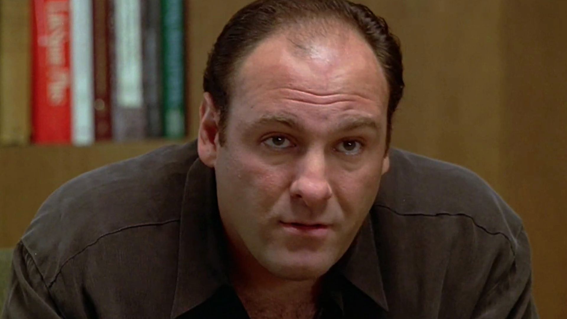 File:Tony Soprano therapy (The Sopranos Family Tree).jpg