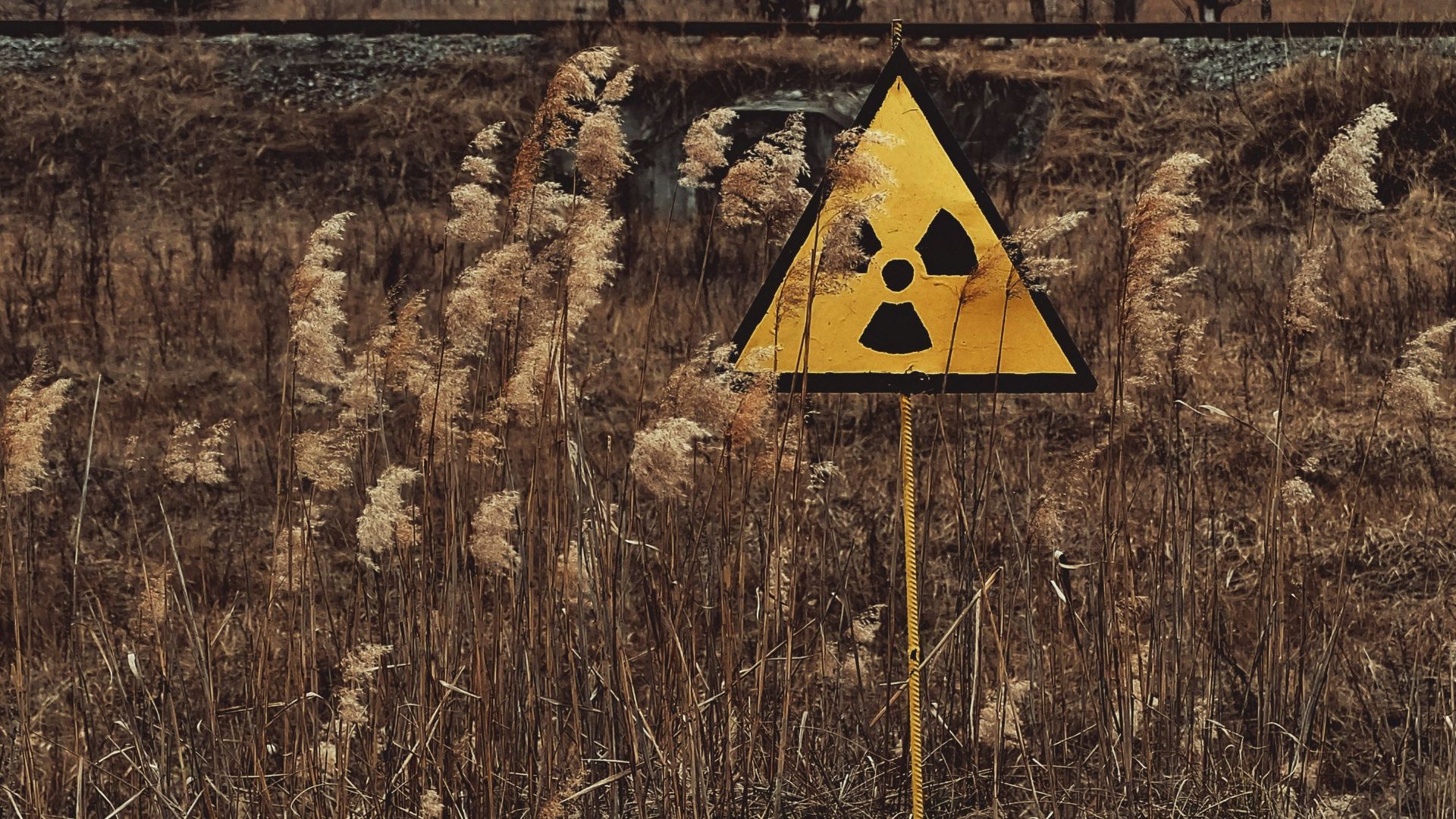 yellow and black house on brown grass field