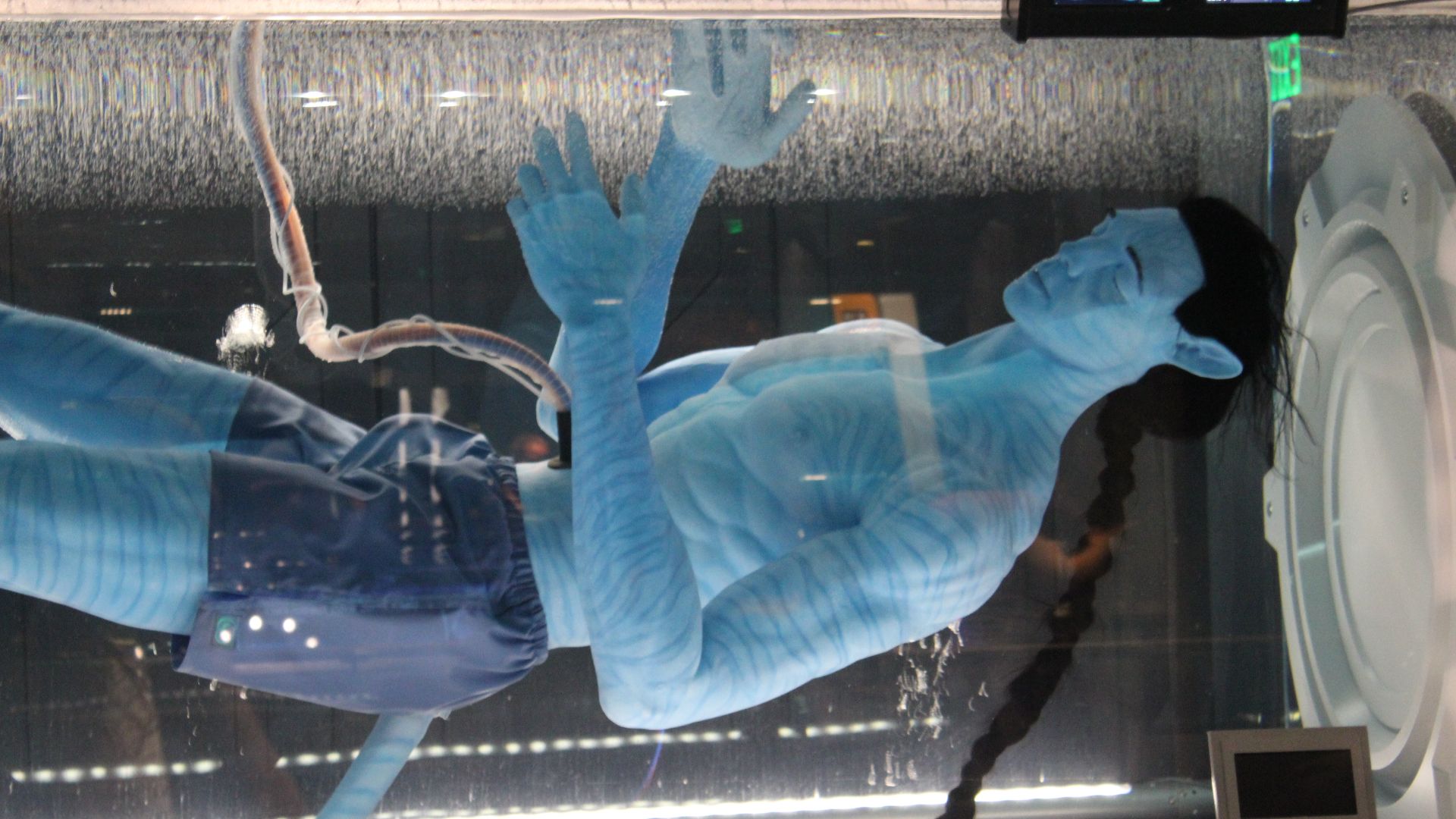 File:Avatar Flight of Passage (33825582954).jpg