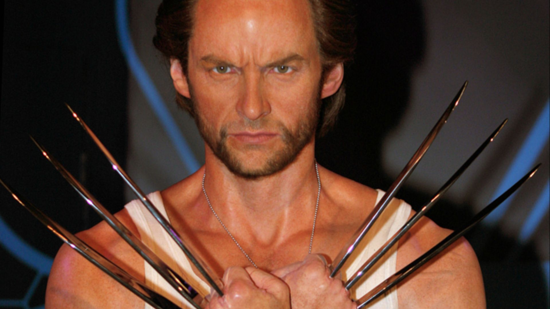 File:Wolverine (7343567212) (retouched).jpg
