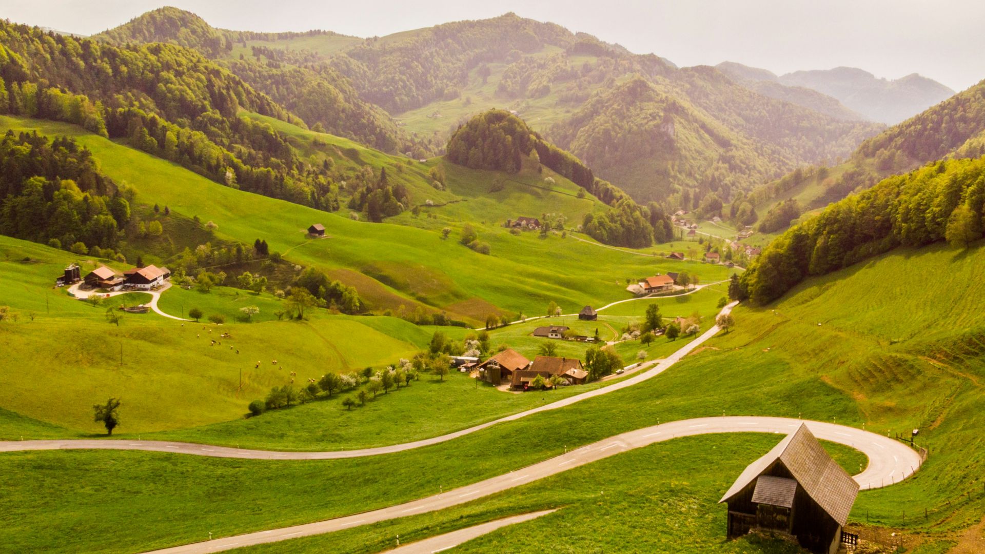 photo of house at meadow