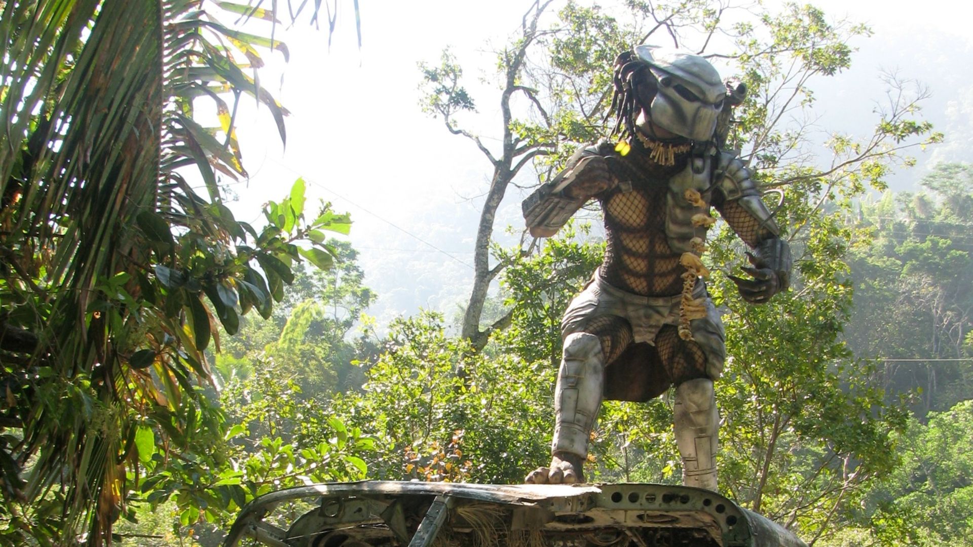 File:Predator filming site.jpg