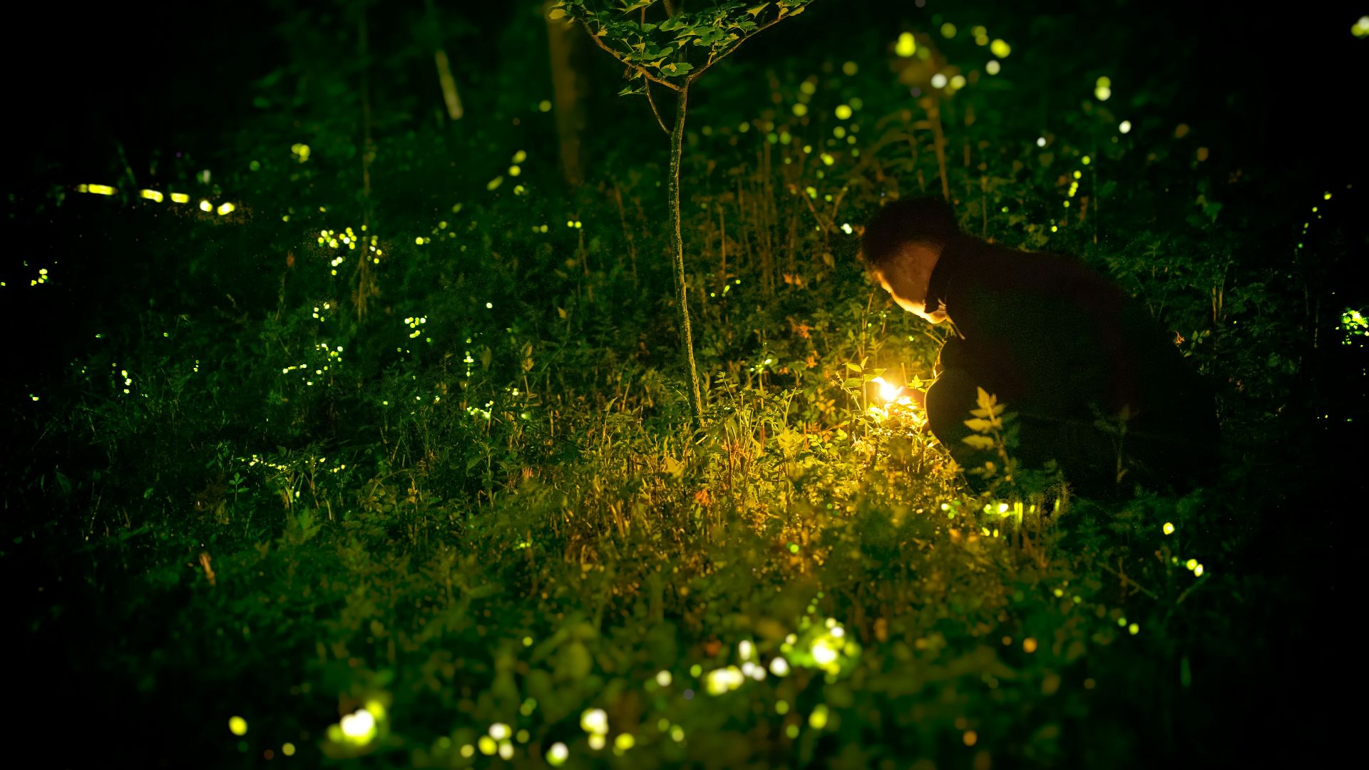 man in black shirt standing on green grass field during daytime