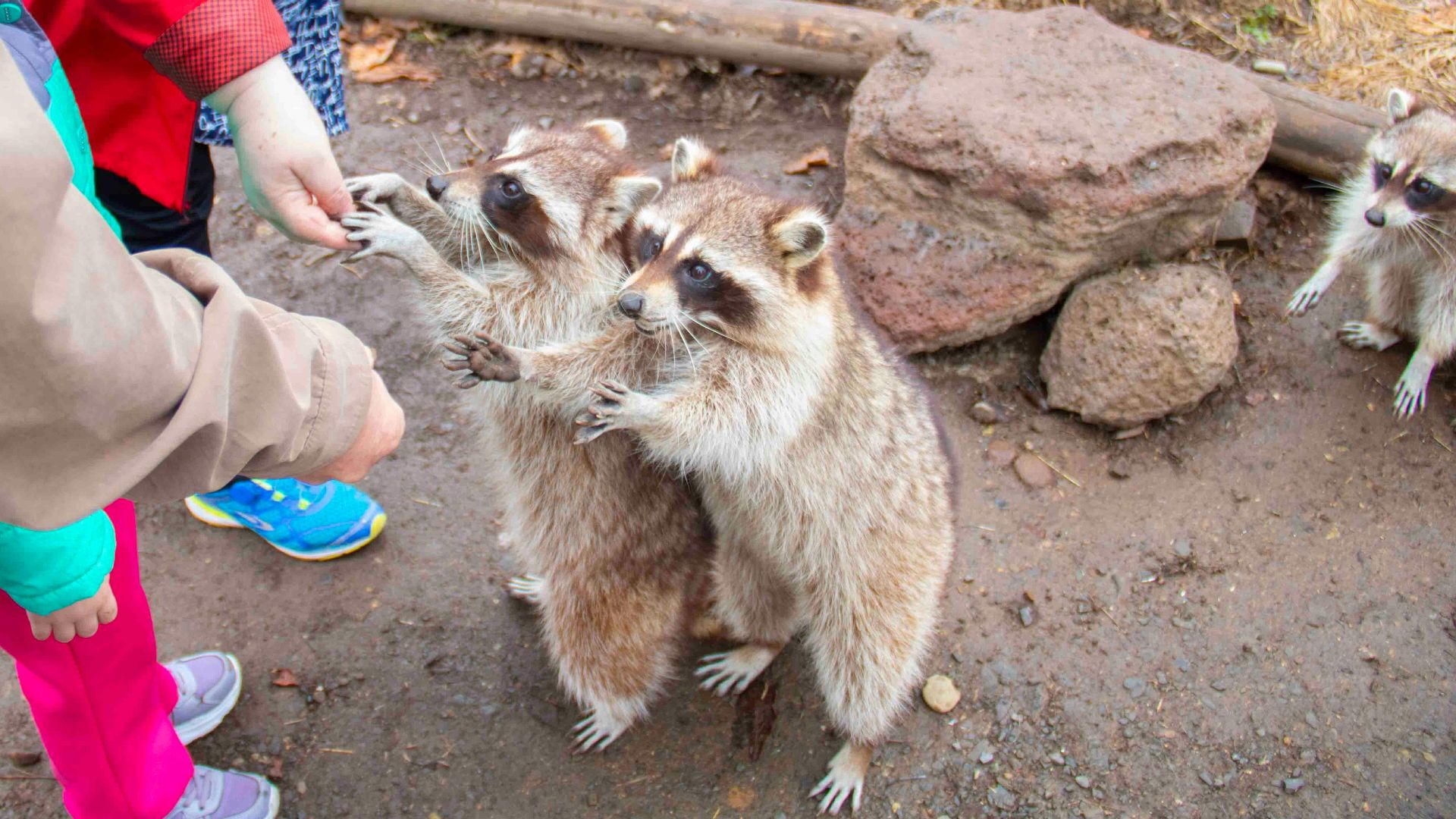 Сергей Игнатьев