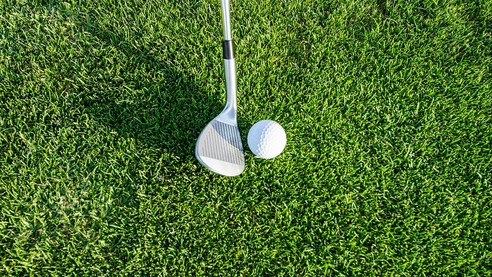 white golf club on green grass field