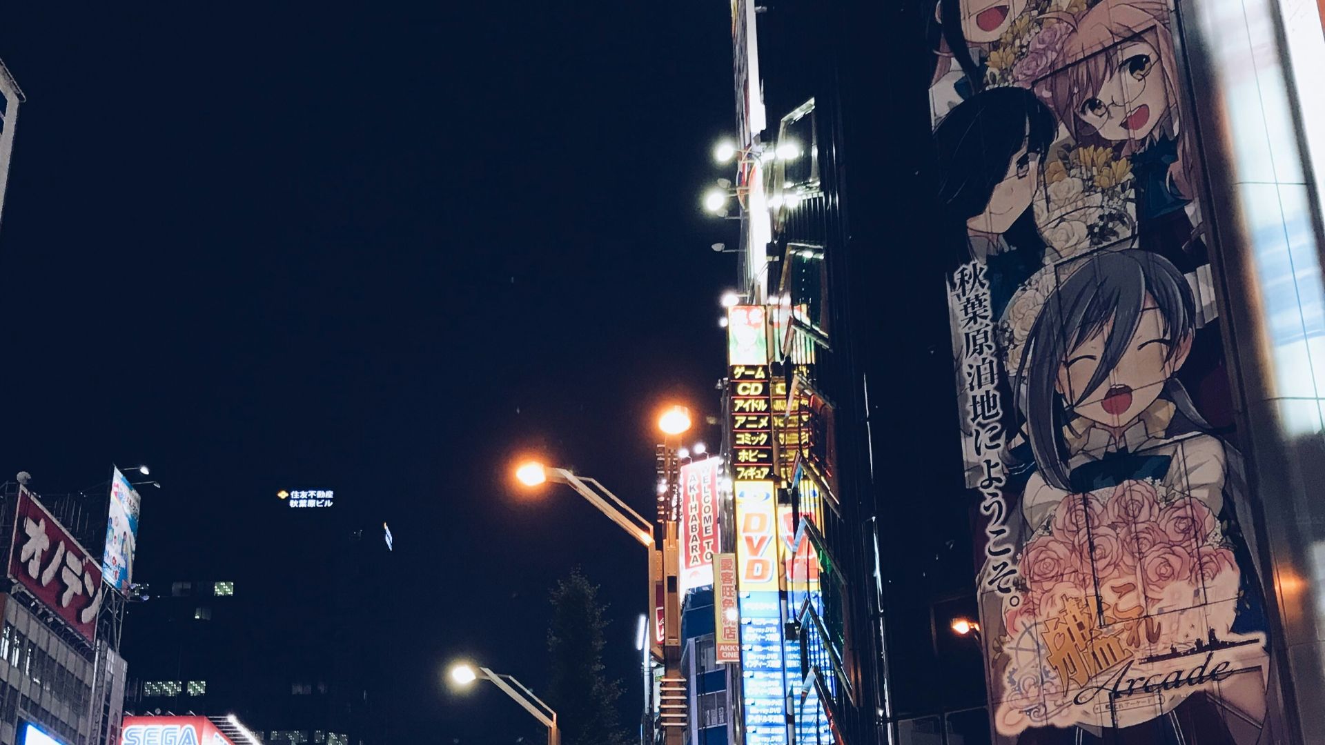 people crossing on pedestrian lane during night time