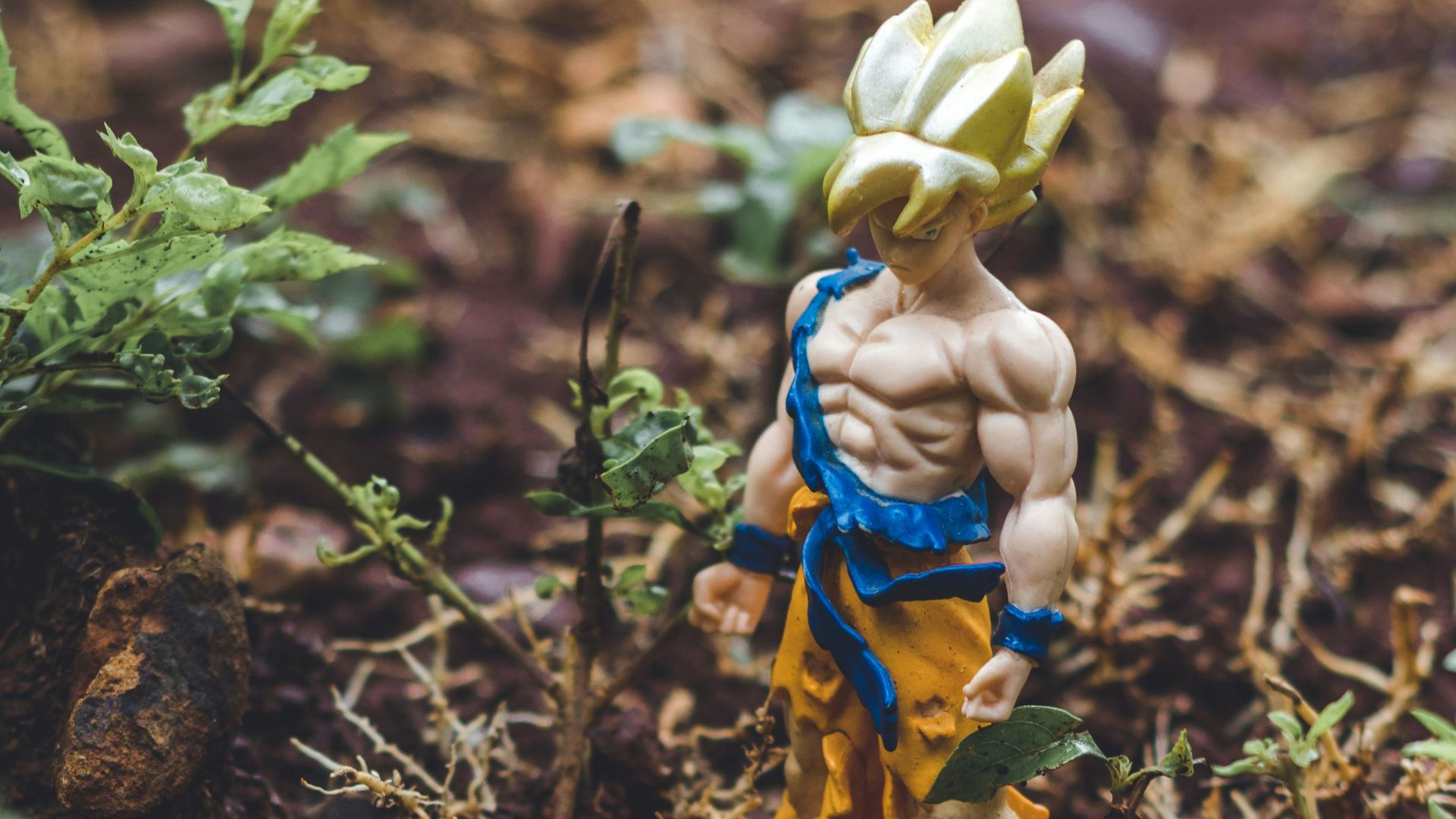 Goku and Vegetta action figures on soil beside plants
