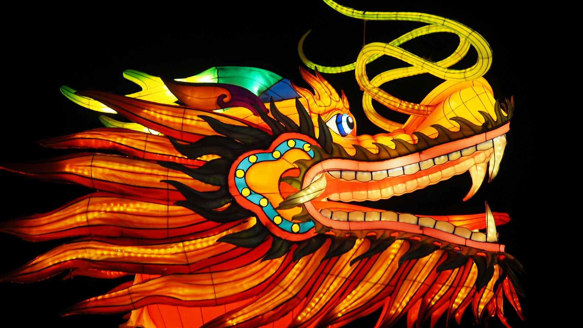 red and multicolored dragon illustration