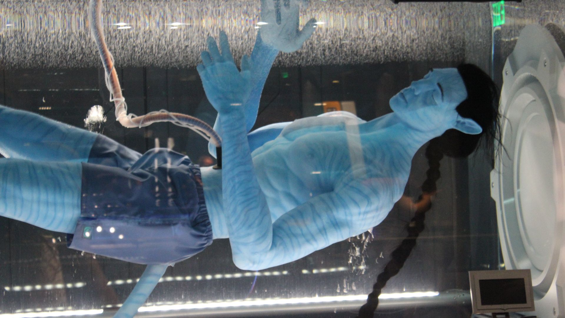 File:Avatar Flight of Passage (33825582954).jpg