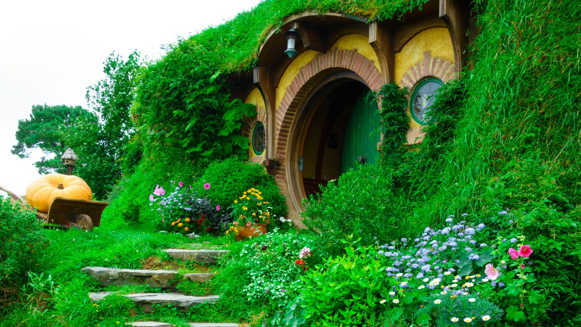 brown wooden signage on green plants