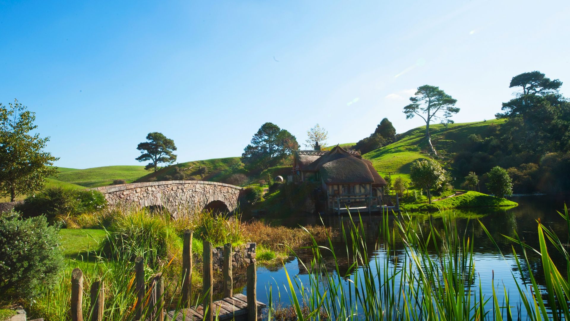 body of water surrounded green plants during daytime