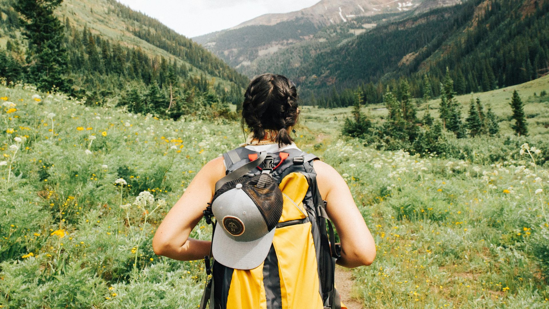 person carrying yellow and black backpack walking between green plants