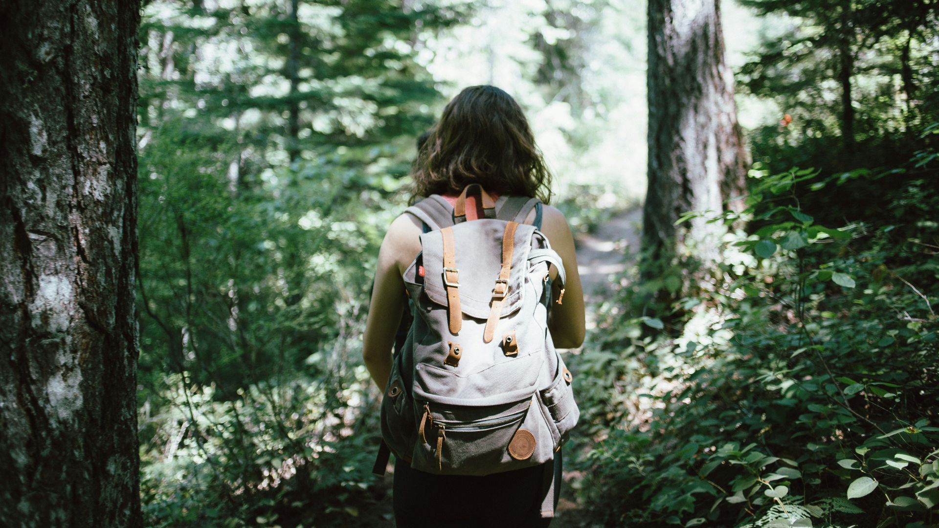woman in sleeveless top and backpack surrounded by trees during daytime