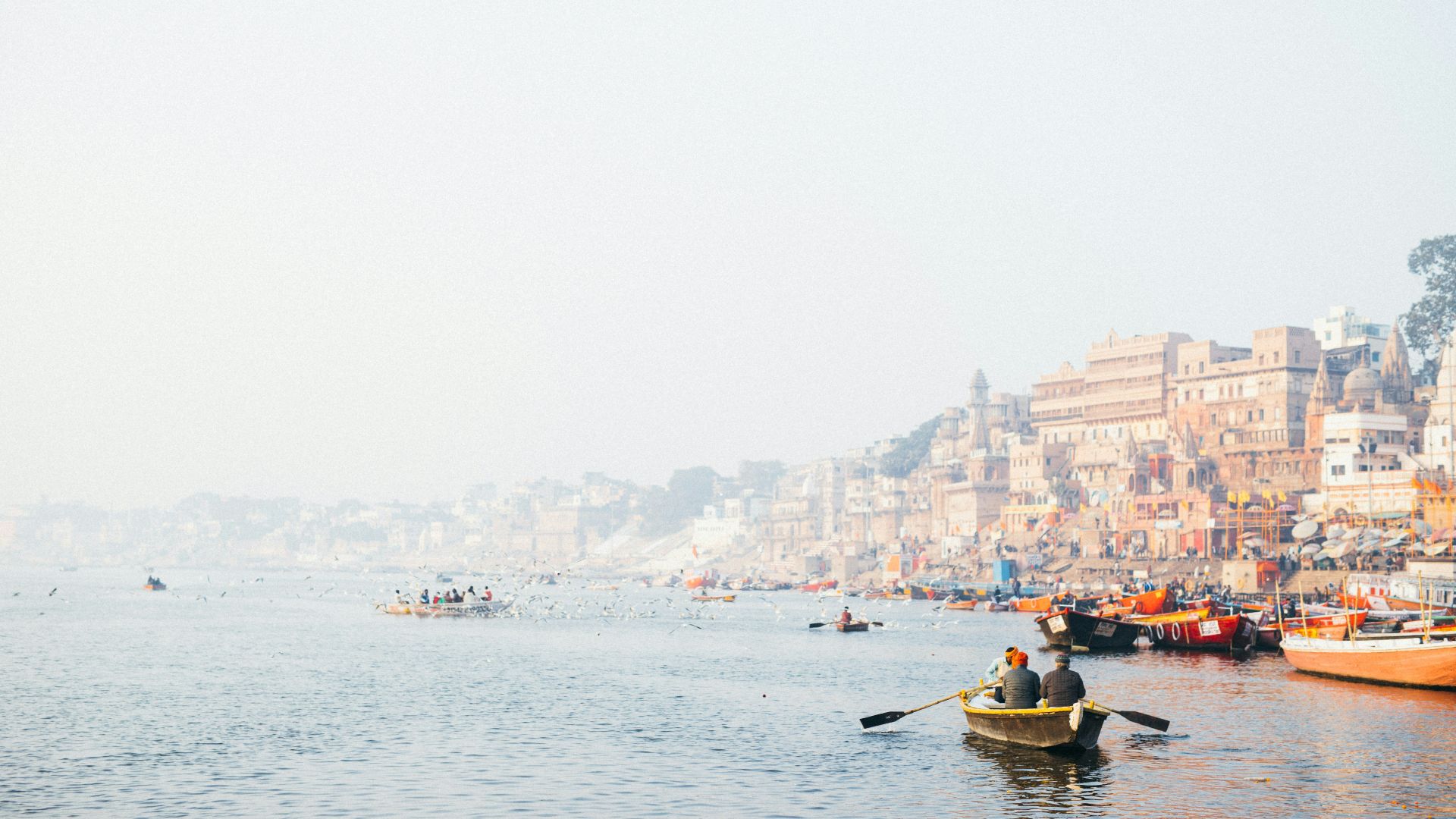 a group of people rowing boats