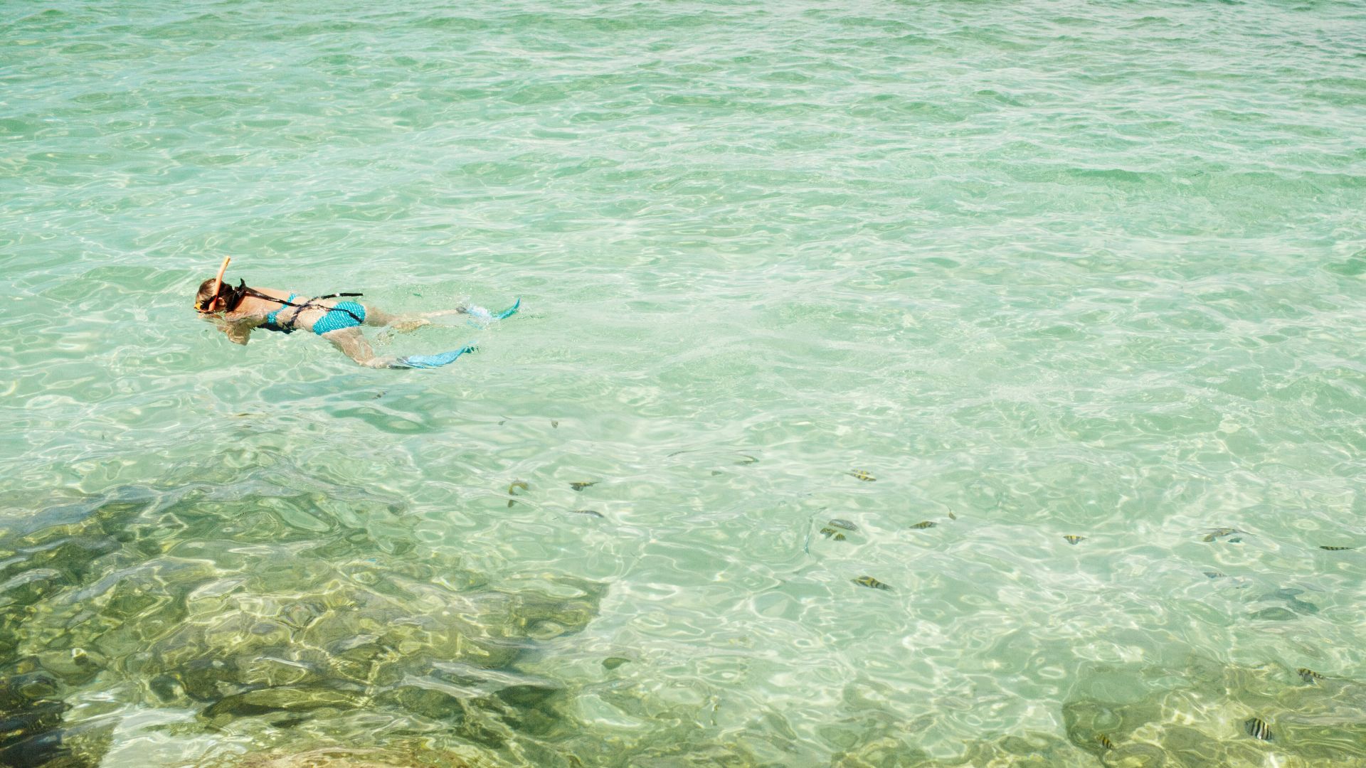 person in blue shorts swimming on sea during daytime