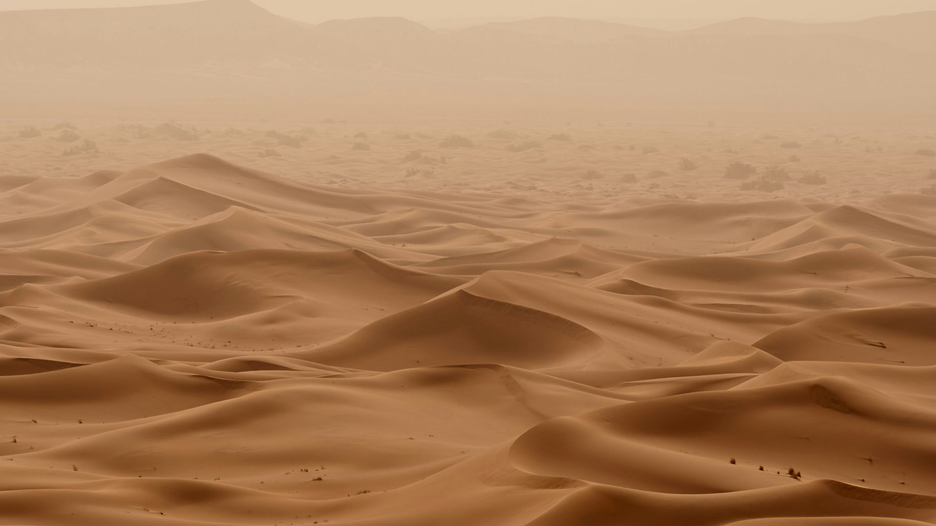 desert under white sky during daytime