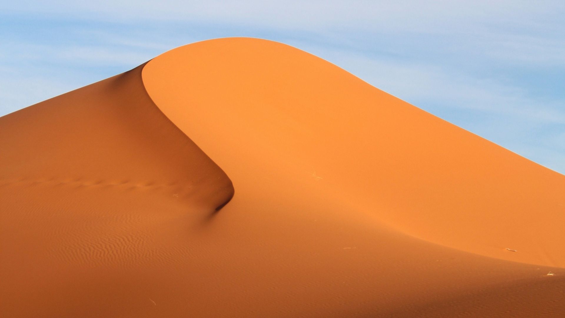 desert photography during daytime