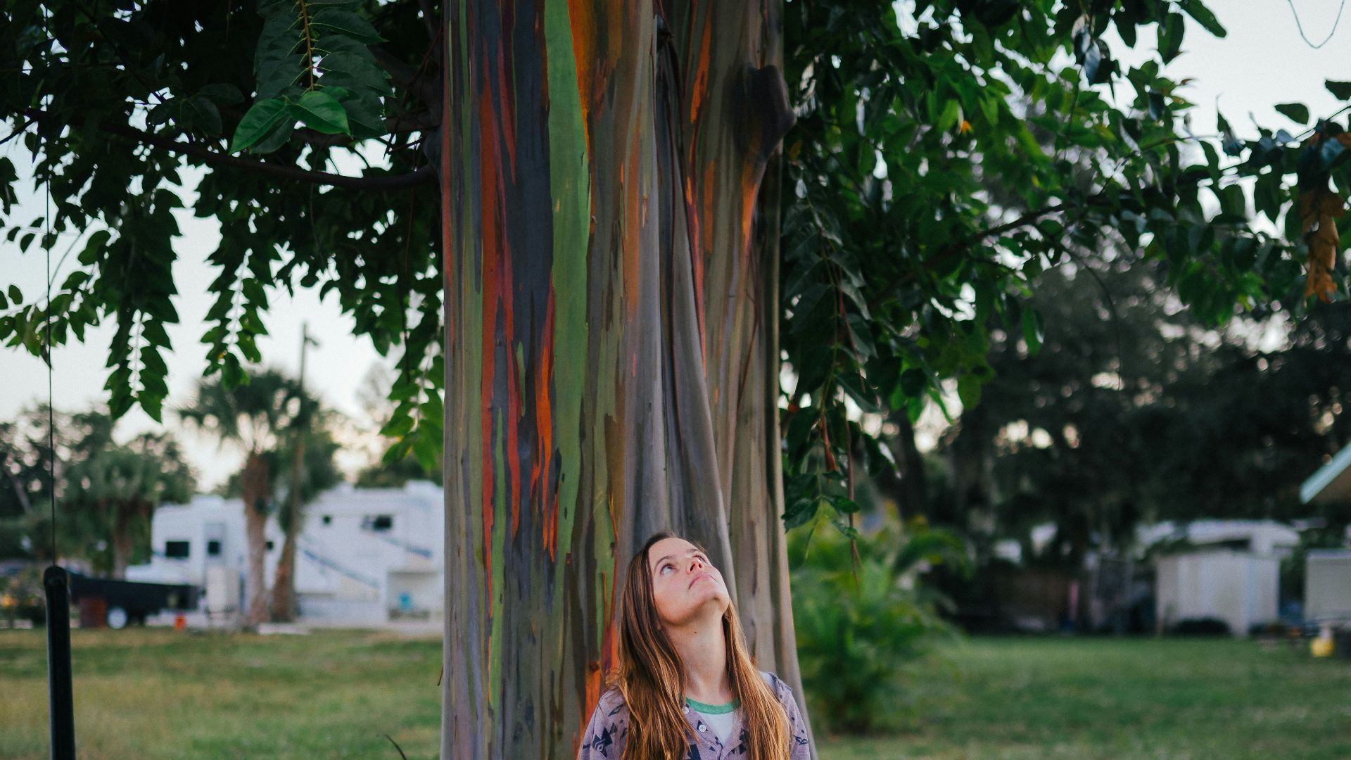woman standing beside tree during daytime