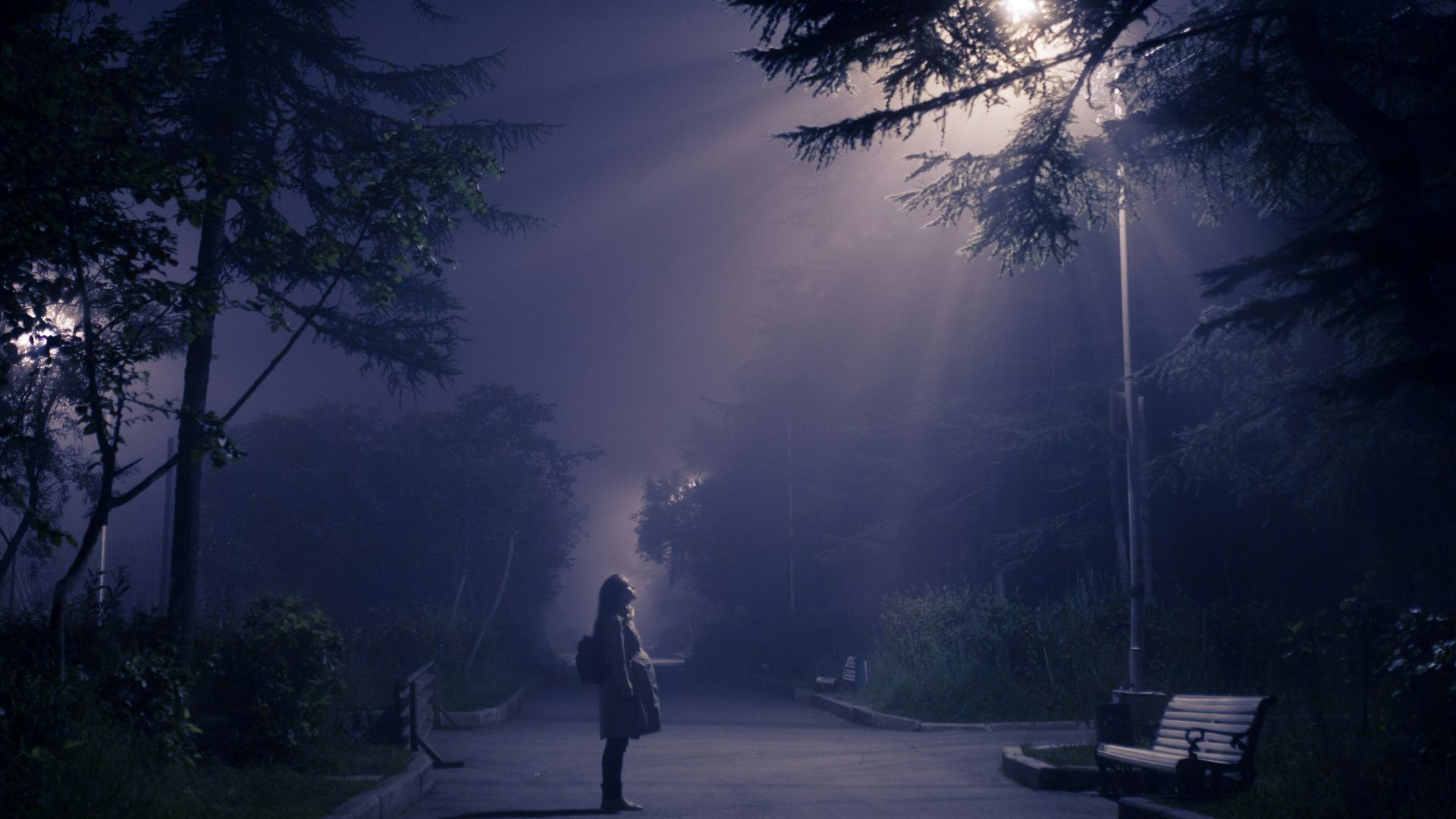 person looking at street lamp