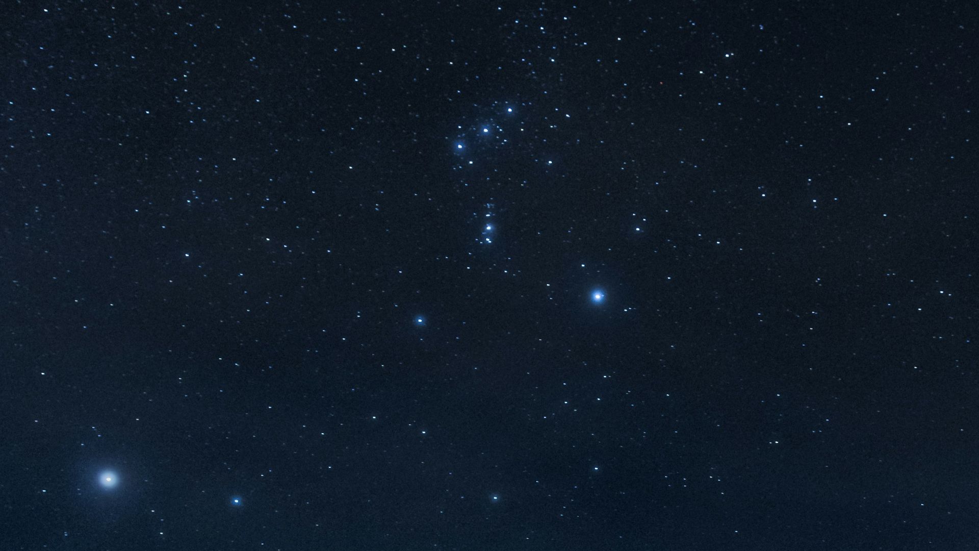 a field with trees and stars in the sky