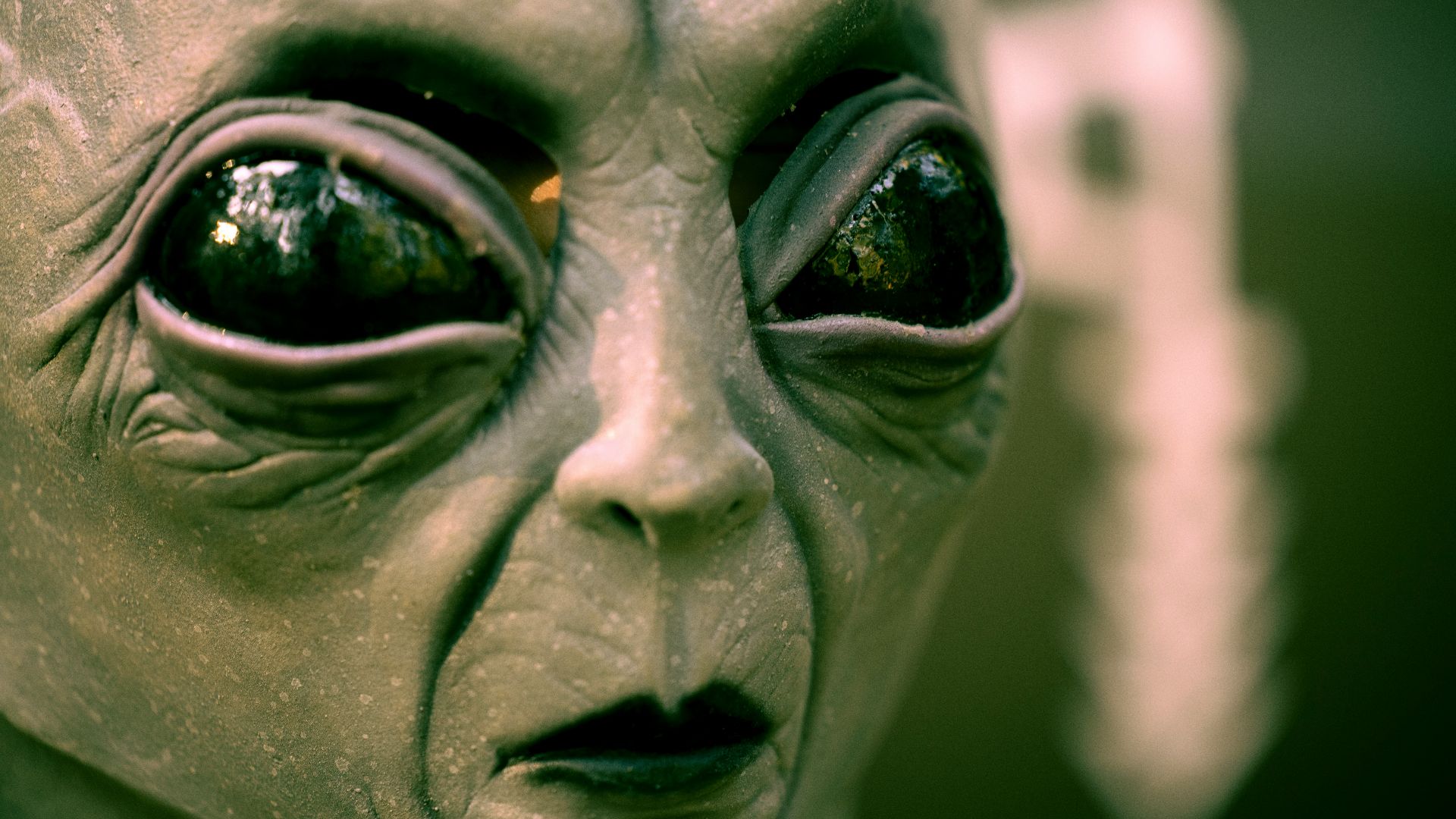 gray scale photo of human face