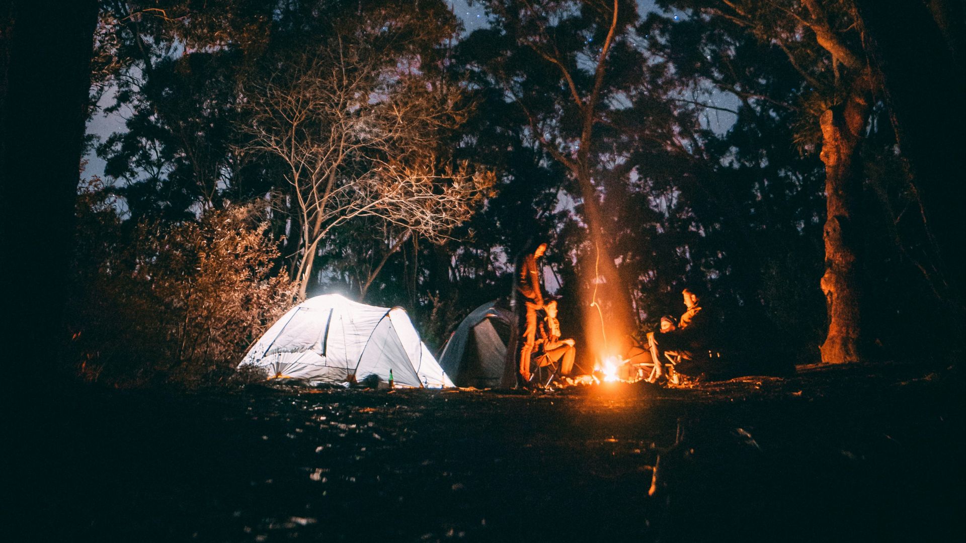person sitting near bonfire surrounded by trees