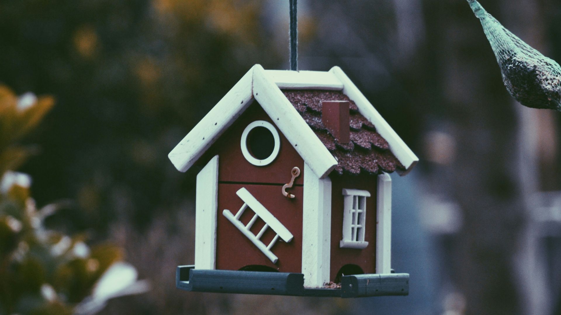 closeup photo of red and white bird house