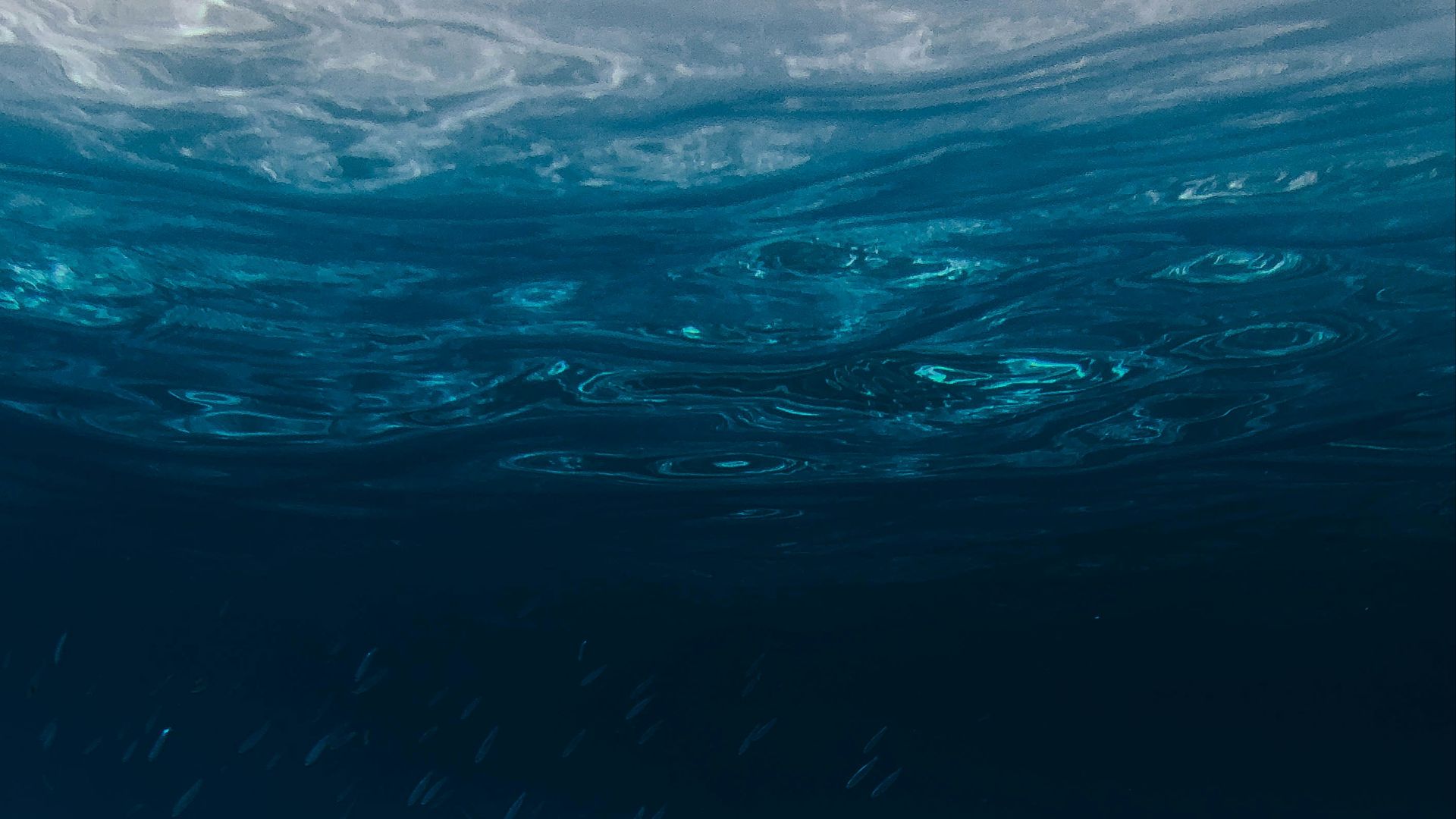blue and clear body of water