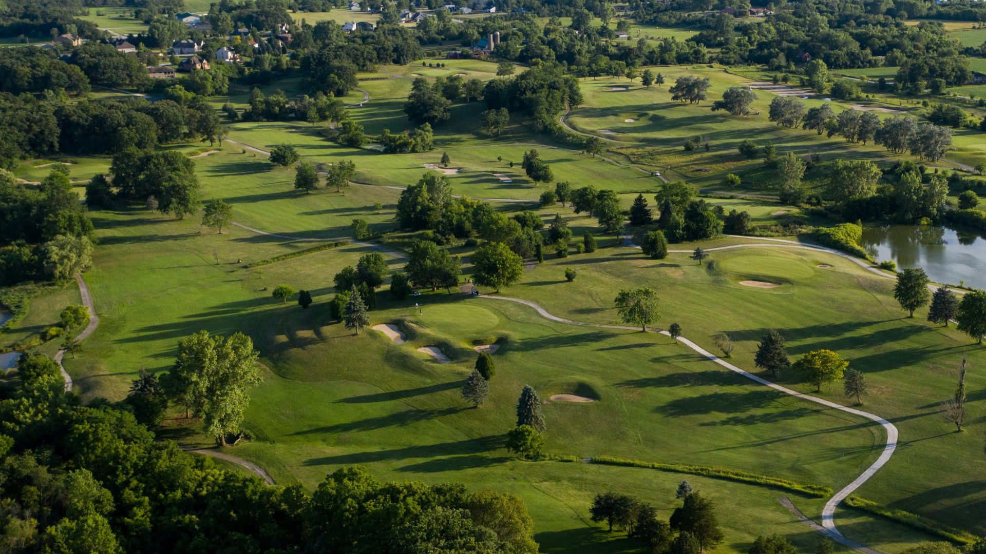 green grass field during daytime