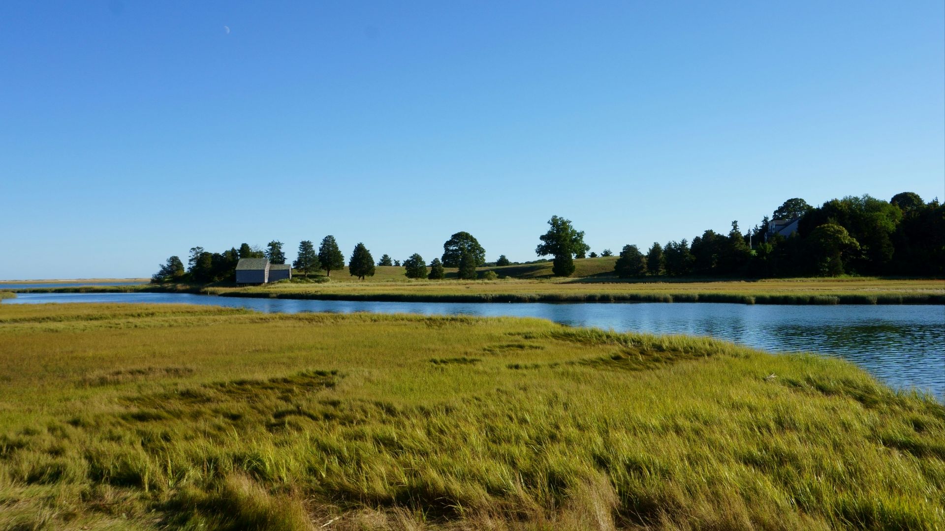 a grassy field next to a body of water