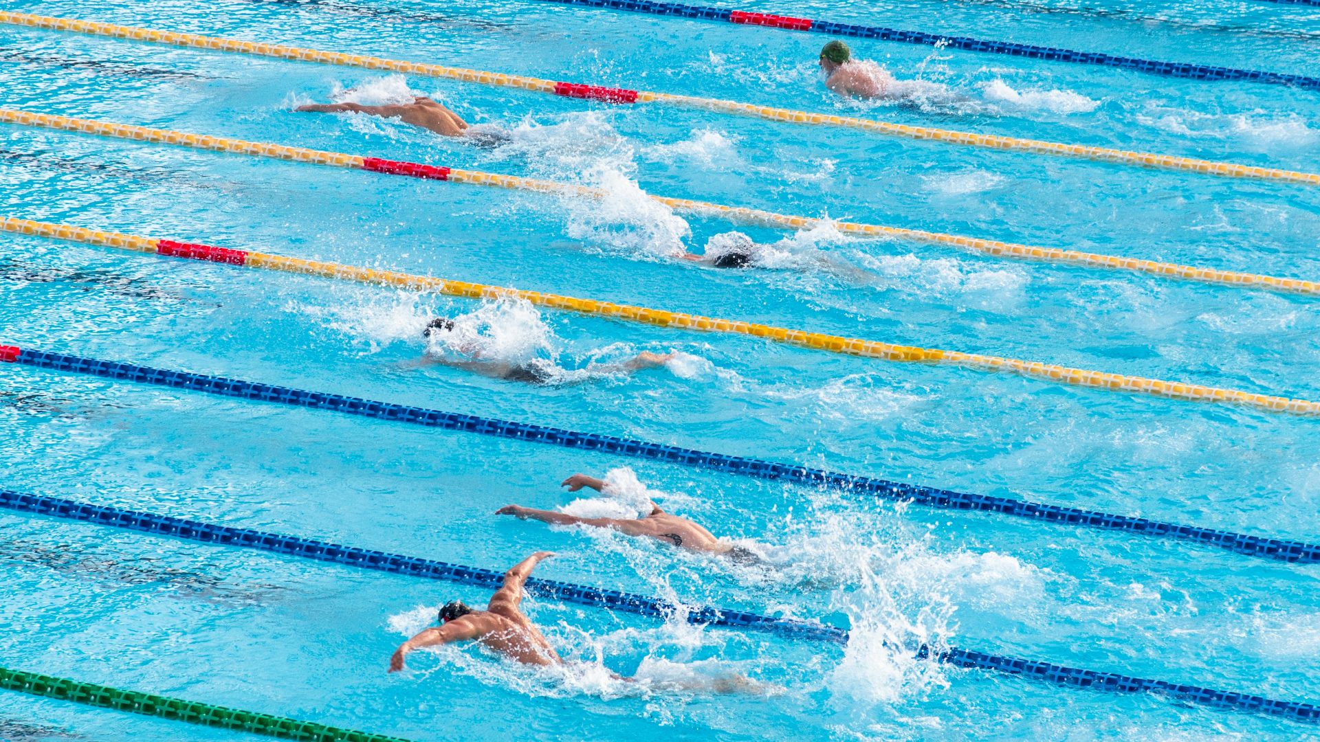 people in swimming pool