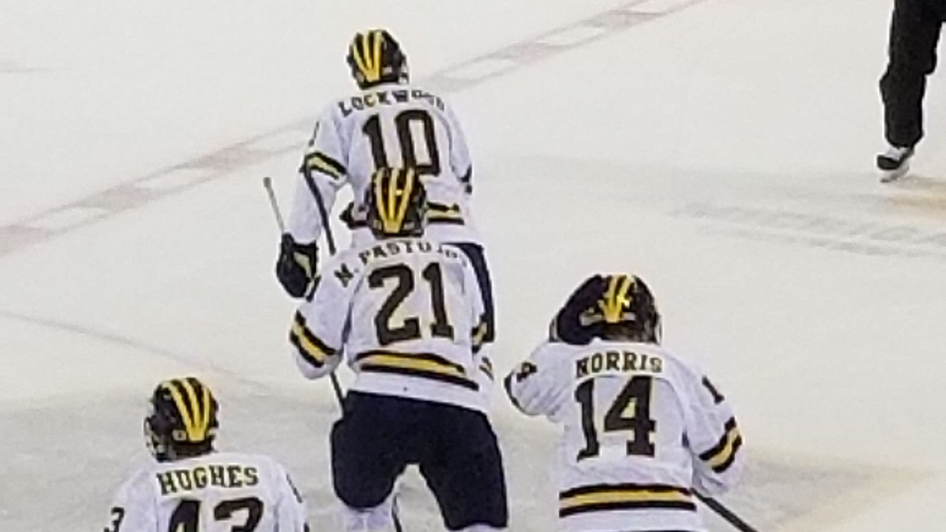 File:Vermont Catamounts at Michigan Wolverines 20181006 (142).jpg