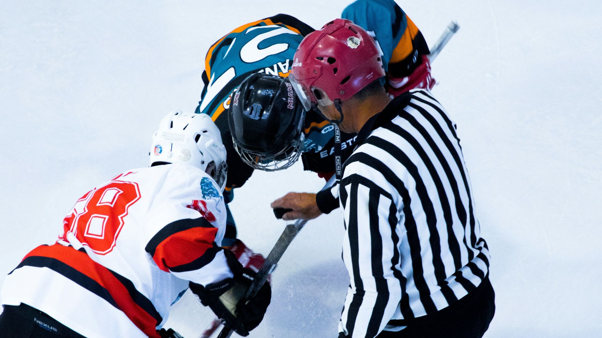 person playing hockey