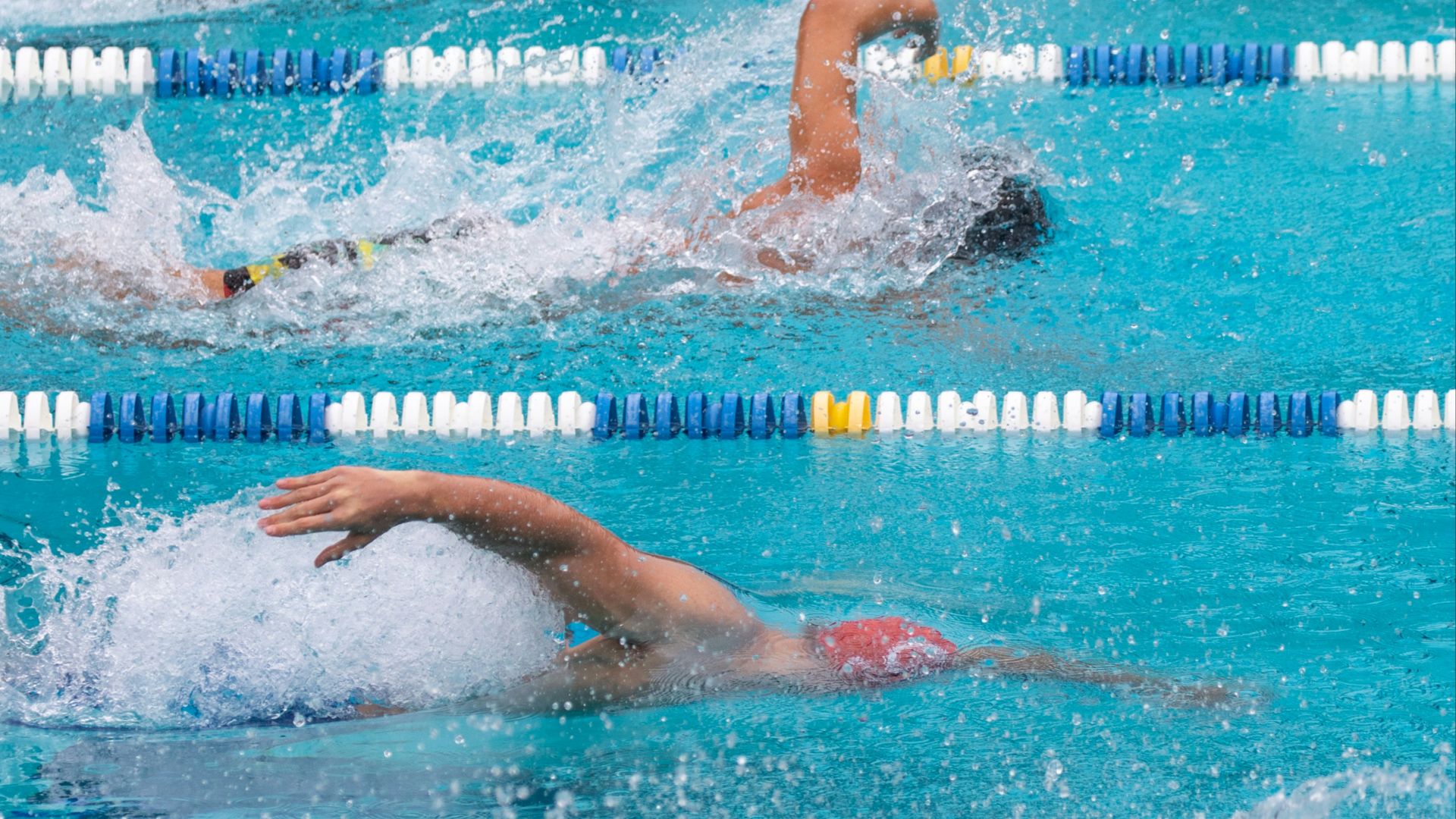 person swimming in the pool