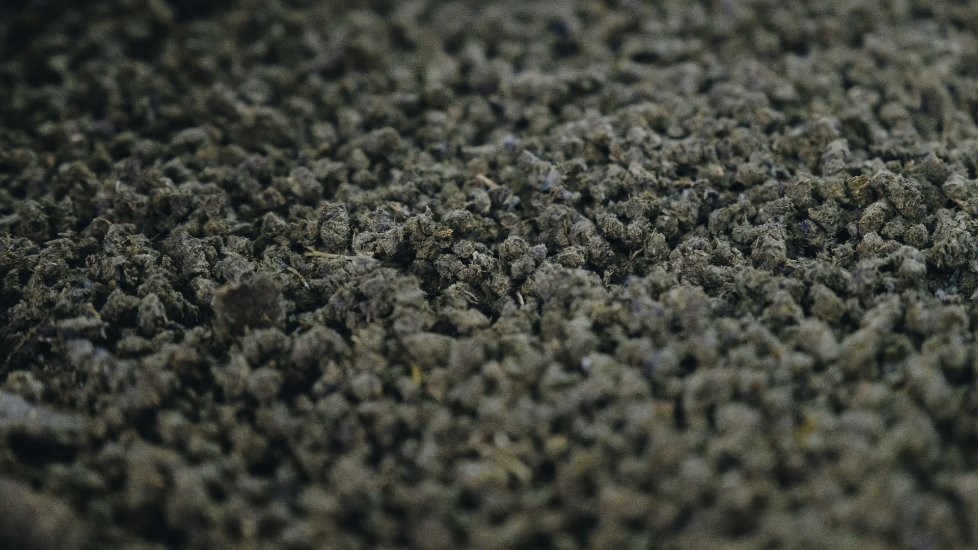 a close up of a pile of dirt