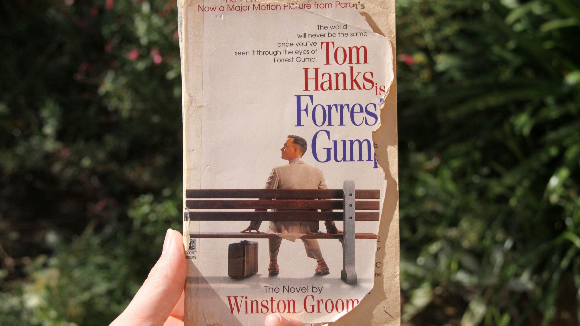 a hand holding a book