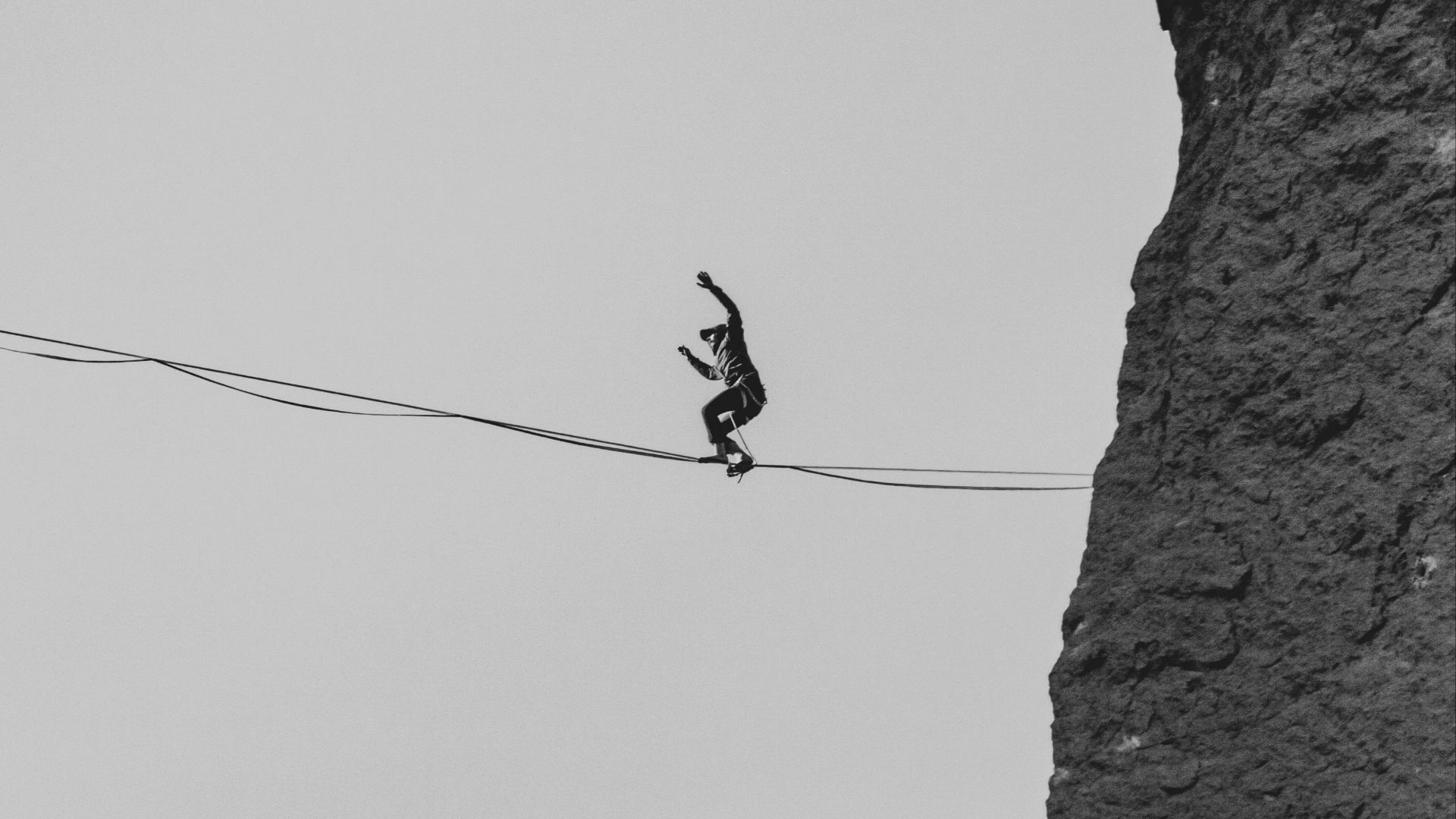 black bird on black wire during daytime