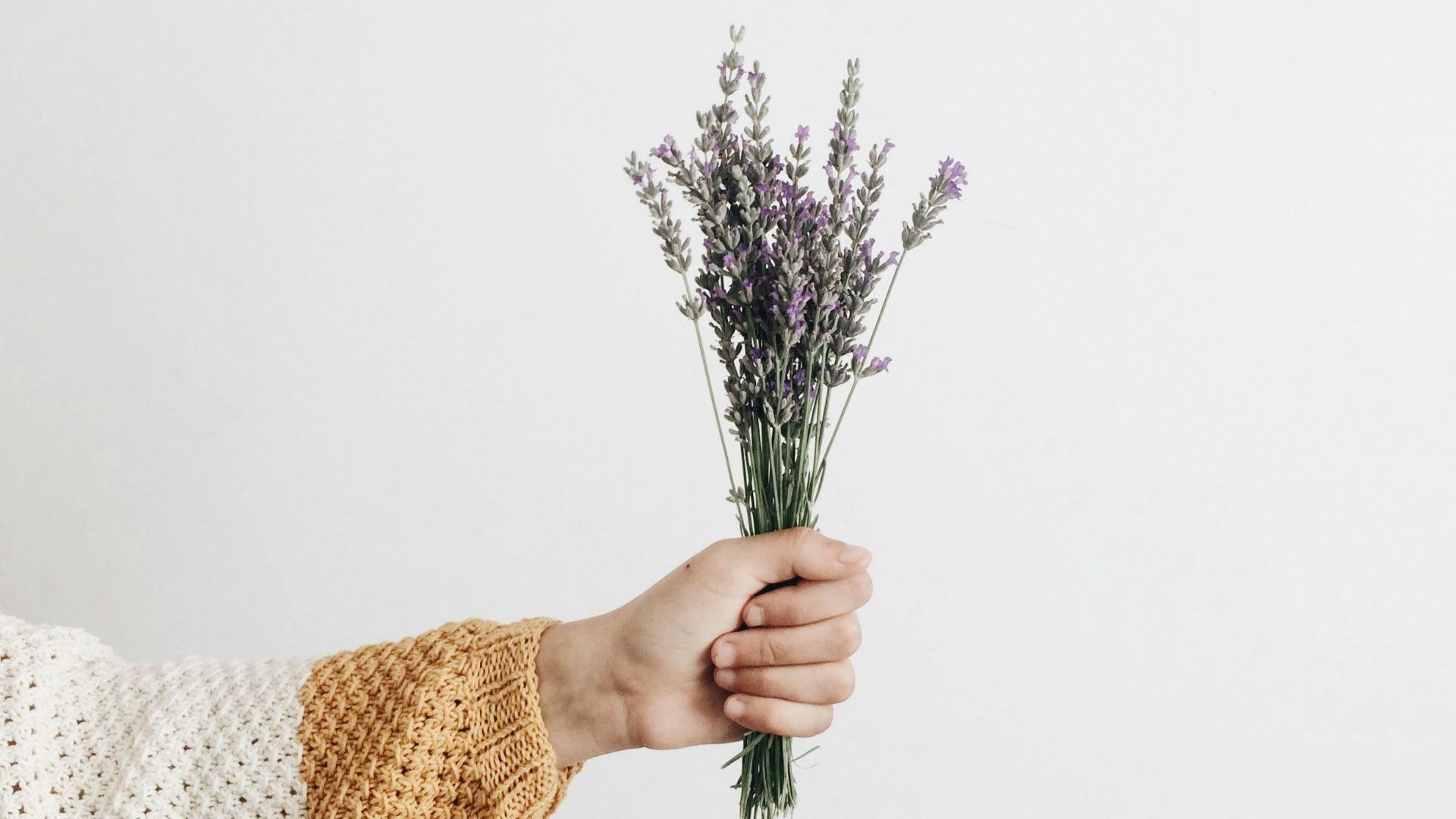 person holding flowers