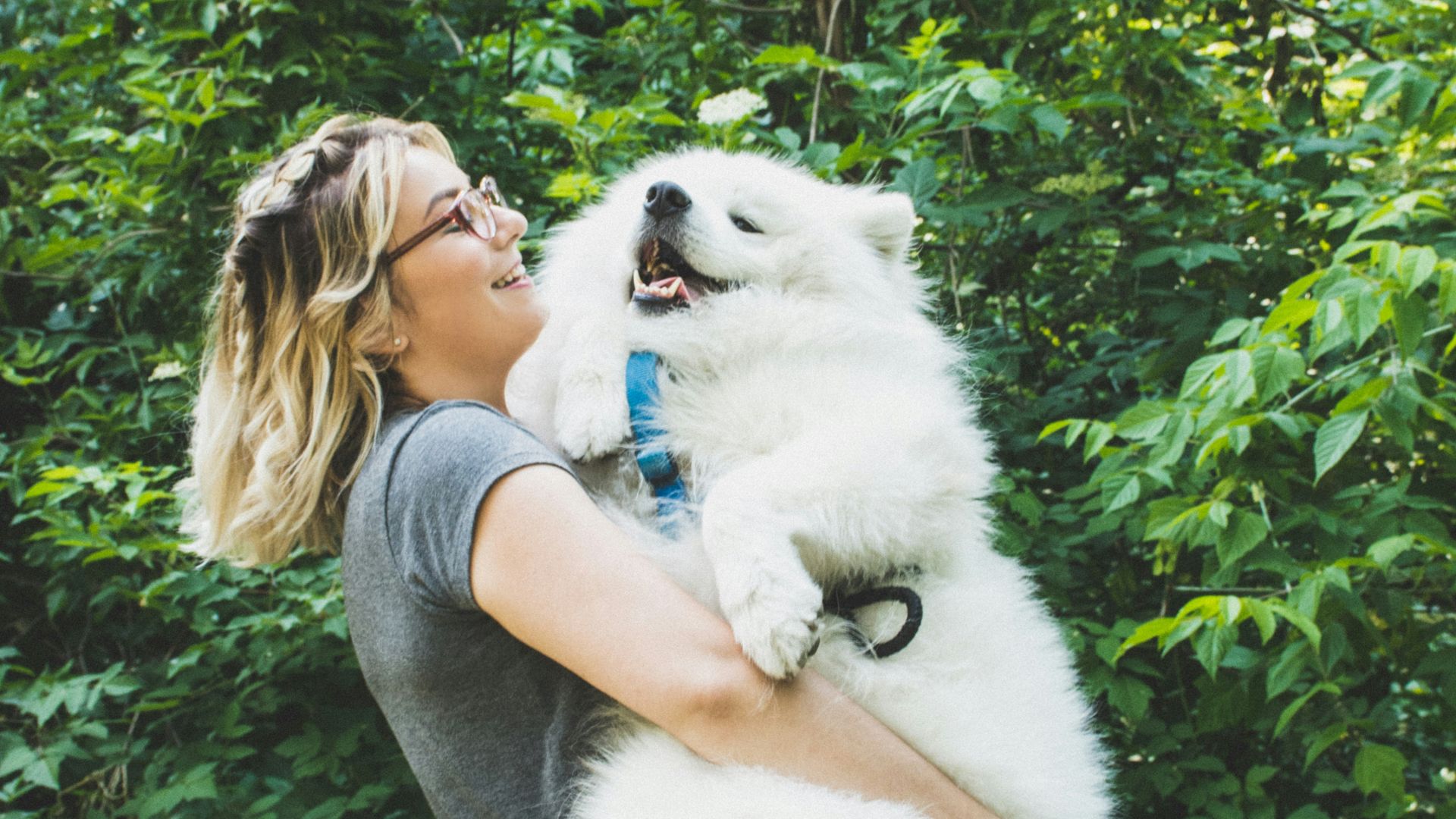 woman carrying long-coated white dog near green leafed plants