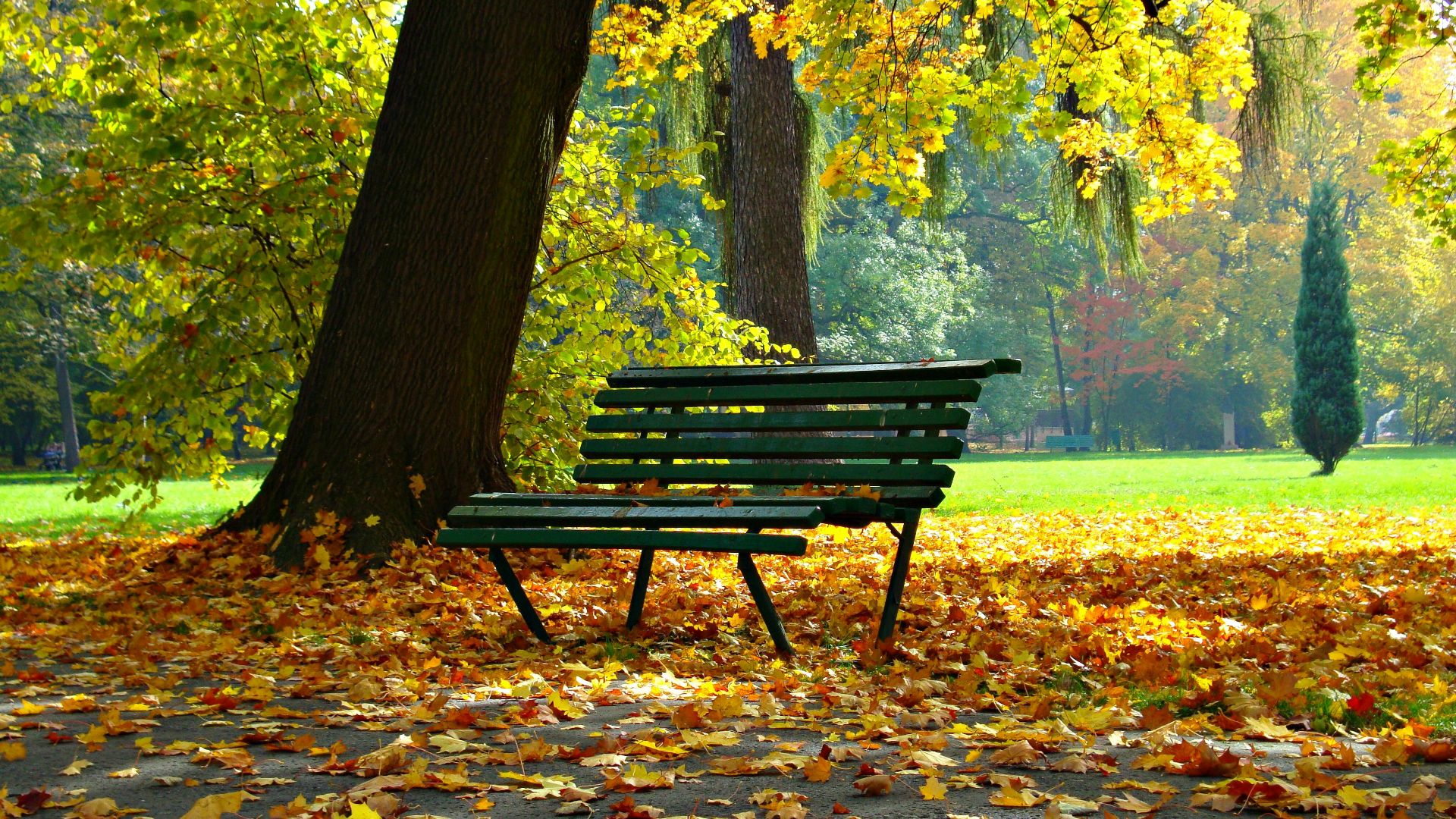 Dariusz Staniszewski