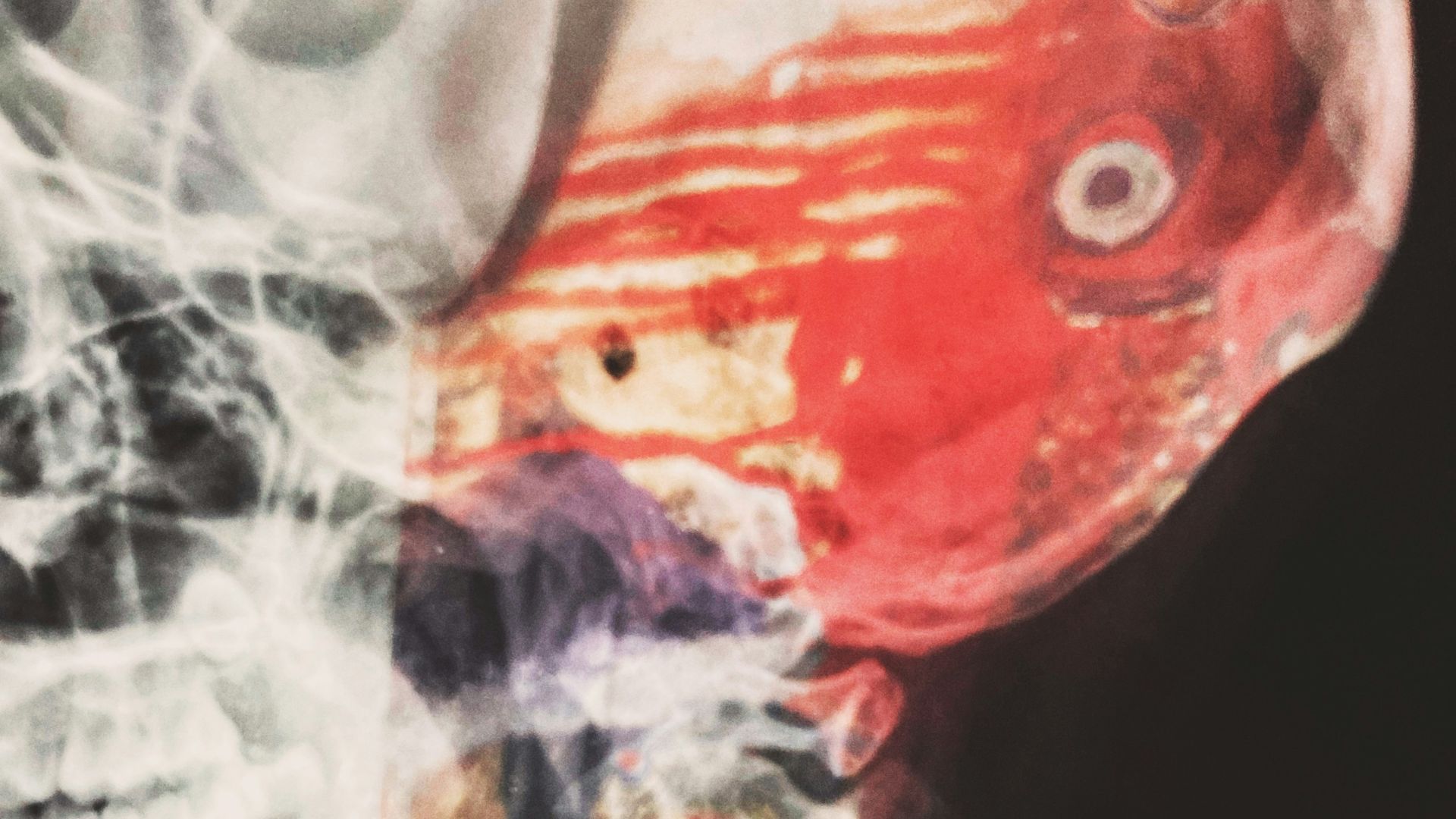 black red and white abstract painting